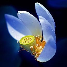 《我的好友小猪佩奇》DLC上线 国区Steam售价22元